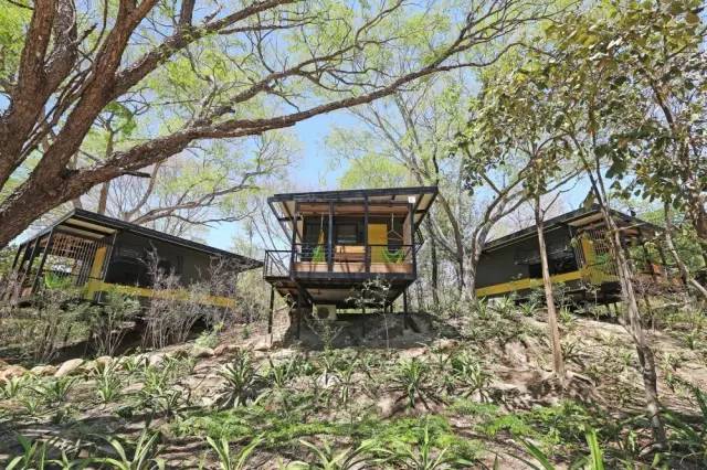 工業(yè)遺產(chǎn)新生：集裝箱改造如何塑造現(xiàn)代城市風景線